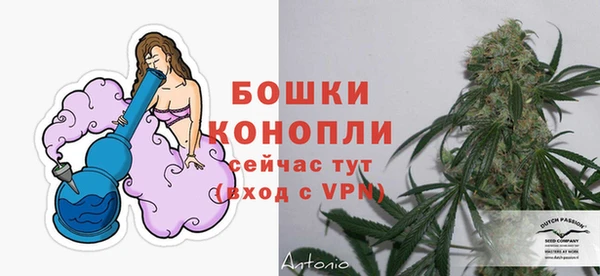 стафф Костерёво