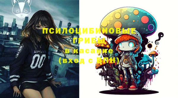 шишки Красноперекопск
