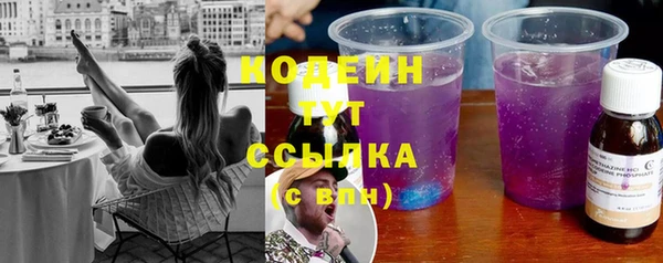 прущие грибы Нягань