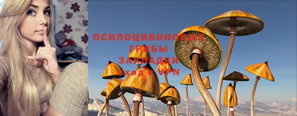 марки nbome Корсаков