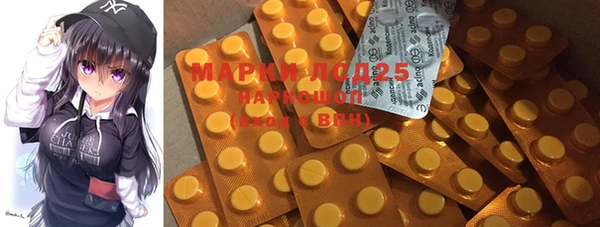 ГАЛЛЮЦИНОГЕННЫЕ ГРИБЫ Козловка