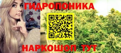 прущий лед Гагарин