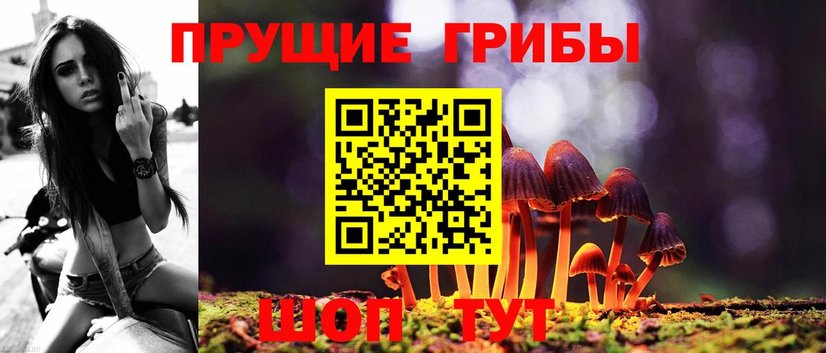 Галлюциногенные грибы Psilocybine cubensis Когалым