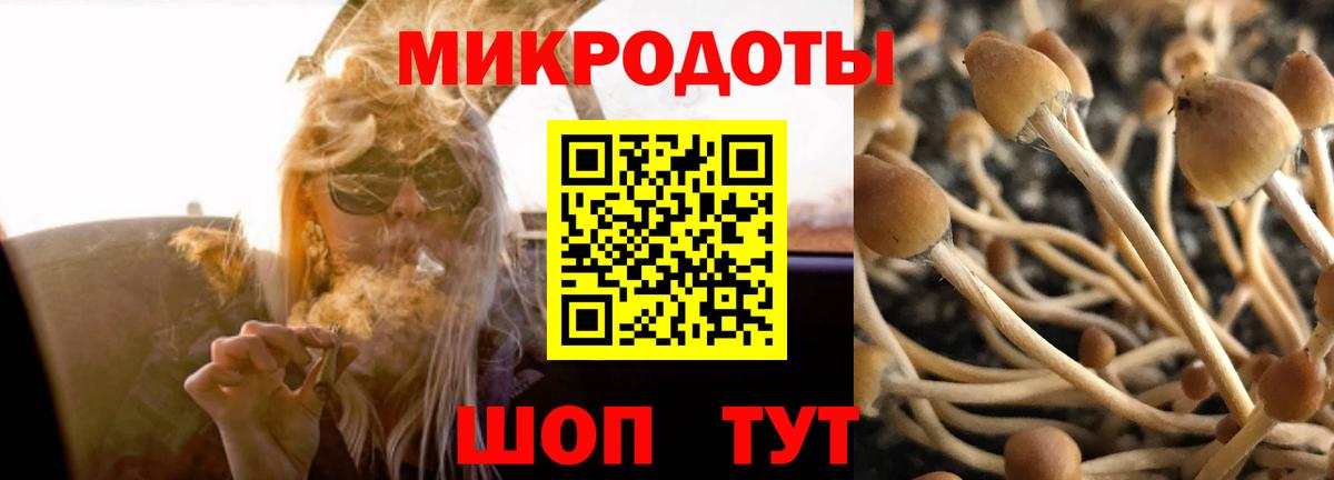 Галлюциногенные грибы Magic Shrooms  хочу   Когалым  Вход с VPN 
