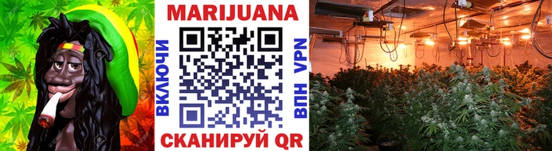 где купить наркотик  Когалым  Бошки марихуана ГИДРОПОН 